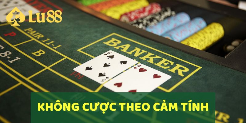 Không cược theo cảm tính